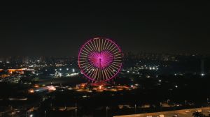 d35996d2226653fa774d3c803b4e9bd8_medium O amor venceu! Galinha Pintadinha e Galo Carijó se reconciliam durante evento em São Paulo