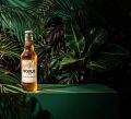 Vorus Ice Tropical Breeze 