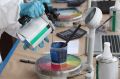 Programa colaborativo de inovação da AkzoNobel fechou inscrições com 135 projetos cadastrados