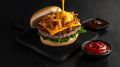 Barbecue Fried Onion Burguer de Costela.