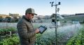 Ferramentas agrometeorológicas e monitoramento preditivo ajudam agricultores a superar geadas de meados do ano; especialista da UNIASSELVI detalha como a engenharia agronômica assegura o abastecimento