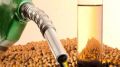 CNPE reconhece capacidade da indústria brasileira de abastecer o mercado interno e fortalece estratégia de valorização dos biocombustíveis