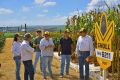 Dias de campo e eventos técnicos ajudam a aproximar canais, fornecedores e agricultores