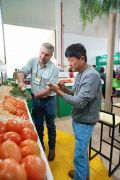 Novas variedades de tomate da HM.CLAUSE