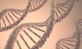 Imagem que ilustra a estrutura do DNA