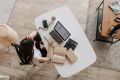 Home office requer mudanças na Cultura Organizacional