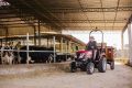 Trator YANMAR Solis 26 com transmissão 9x9