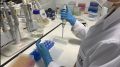 Empresa responsável pelo teste é a Imunobiotech