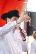 Oswaldo Stival Neto apresenta muda do capim Tifton 85