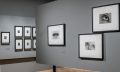 Exposição Man Ray em Paris - CCBB-BH