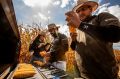 Segunda safra de milho 2025/26 confirma a for&ccedil;a da produ&ccedil;&atilde;o brasileira em cen&aacute;rio desafiador, aponta Agroconsult