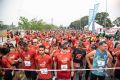 CircuitoBiomasCaixa1