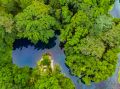 Floresta Amazônica 