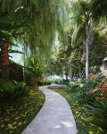 Floresta suspensa h&aacute; 20 metros de altura do empreendimento Blue Forest