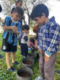 Ações de sustentabilidade junto às escolas em Passo Fundo