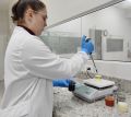 Agroquímicos em nanoescala